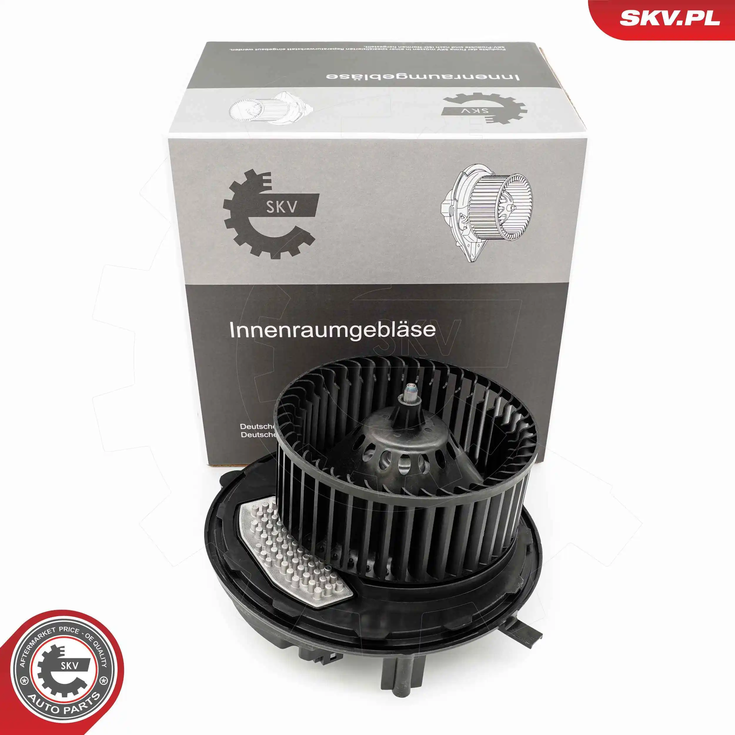 Interior Blower